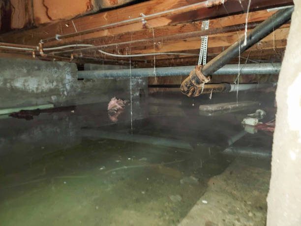 Best Water damage cleanup near me  in Sand Hill, PA