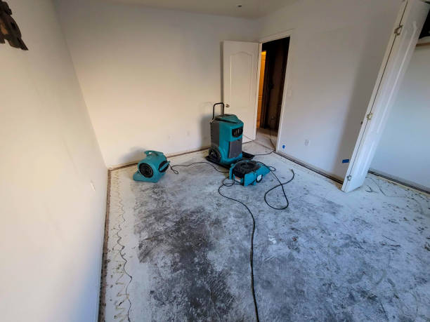 Best Water damage restoration near me  in Sand Hill, PA