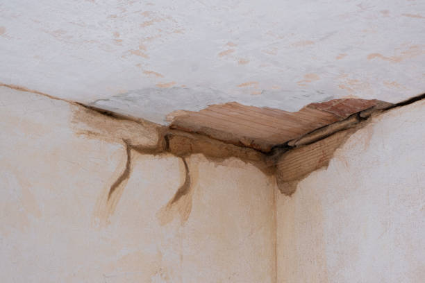 Best Flood damage cleanup  in Sand Hill, PA