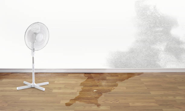 Best Water damage contractors near me  in Sand Hill, PA