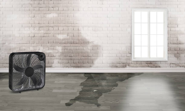 Best Flood damage cleanup  in Sand Hill, PA