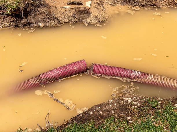 Water damage restoration mold remediation in Sand Hill, PA