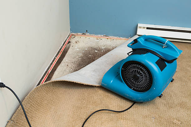 Best Ceiling water damage repair  in Sand Hill, PA